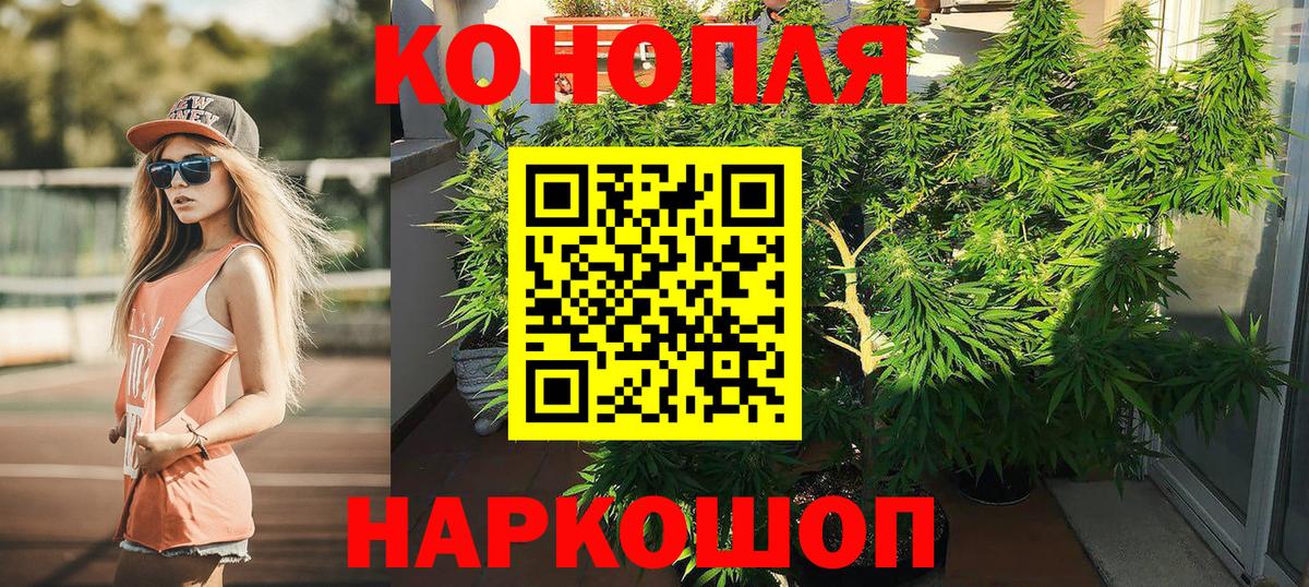 Канабис White Widow Иркутск